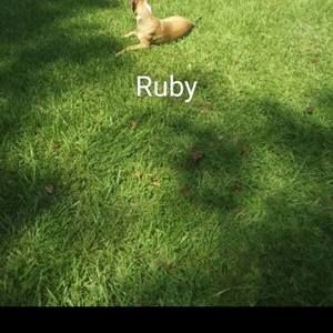 Meet your Posher, Caleb